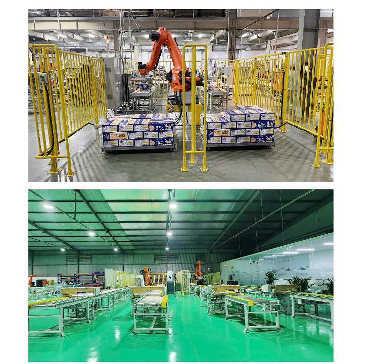 Hệ thống robot xếp thùng lên pallet (tốc độ 7500 hộp/giờ)